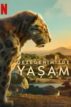 Gezegenimizde Yaşam