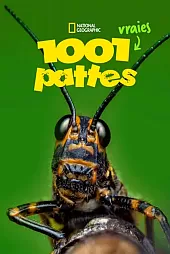 Gerçek Bir Böceğin Yaşamı 