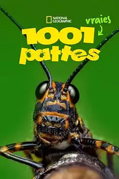 Gerçek Bir Böceğin Yaşamı 