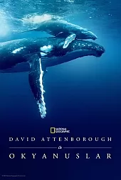 David Attenborough ile Okyanuslar 