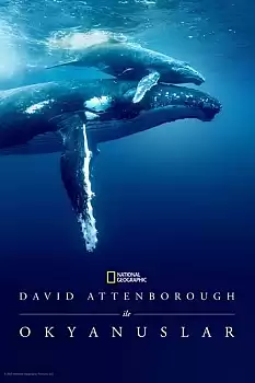 David Attenborough ile Okyanuslar 