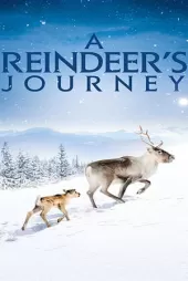 Ailo’nun Yolculuğu