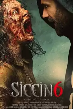 Siccin 6