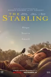 The Starling izle