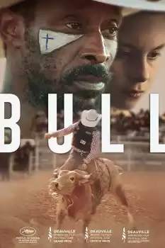 Bull