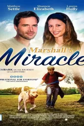 Marshall the Miracle Dog